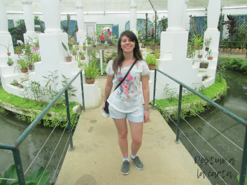 Jardin Botanico Rio de Janeiro