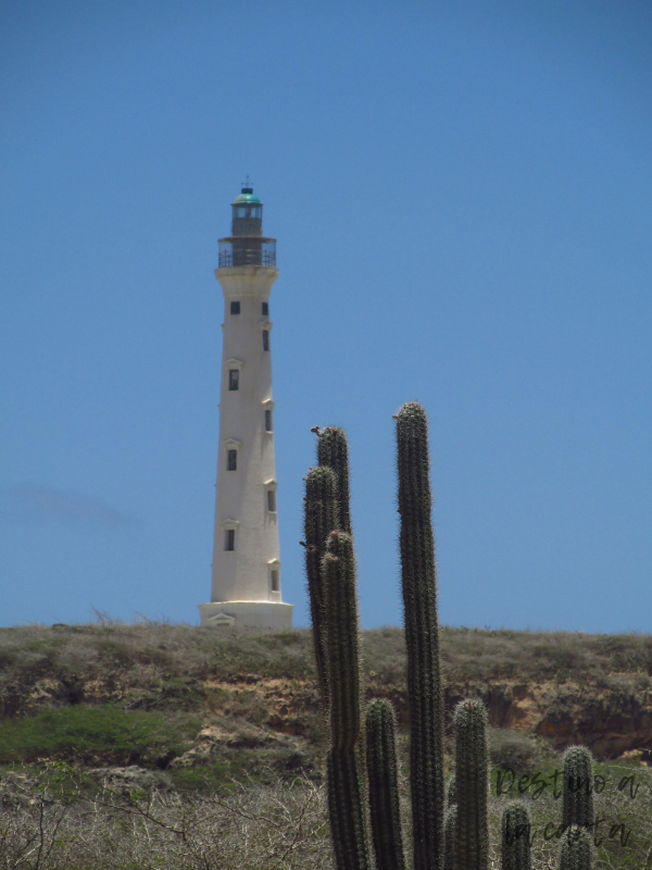 Faro California - Aruba
