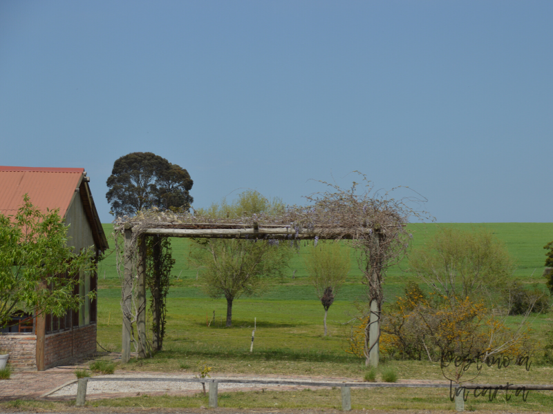 cabañas del lago maria maria