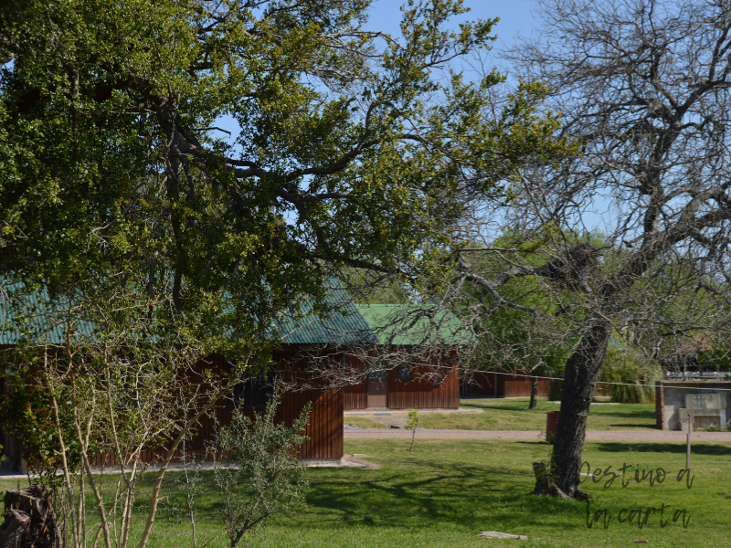 cabañas del lago maria maria