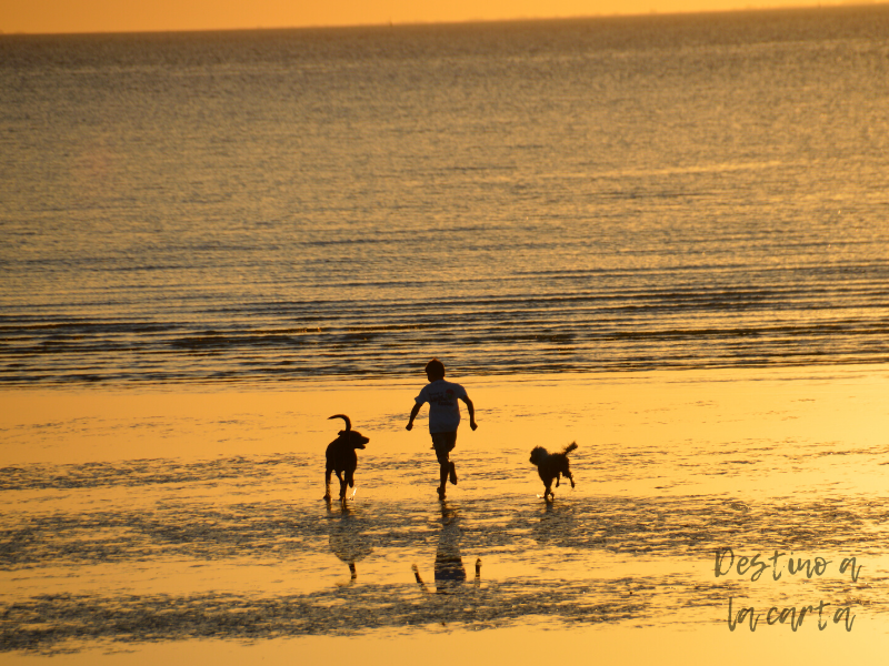 playa conchillas