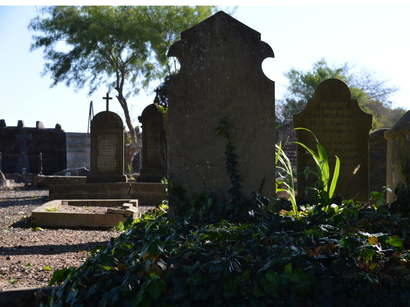 cementerio conchillas