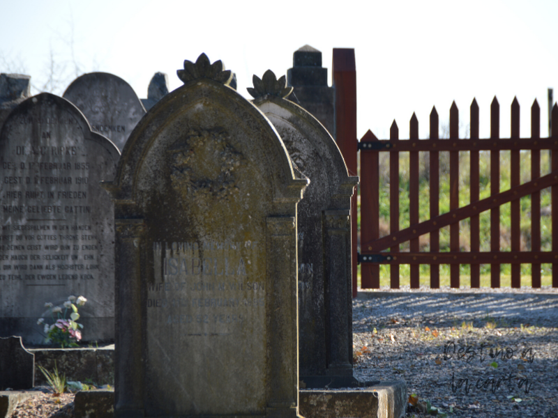 cementerio conchillas