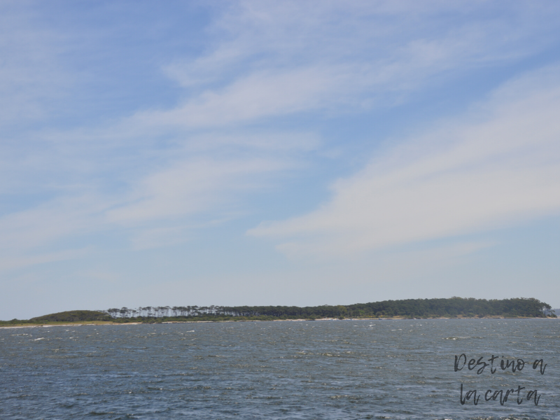 isla gorriti punta del este