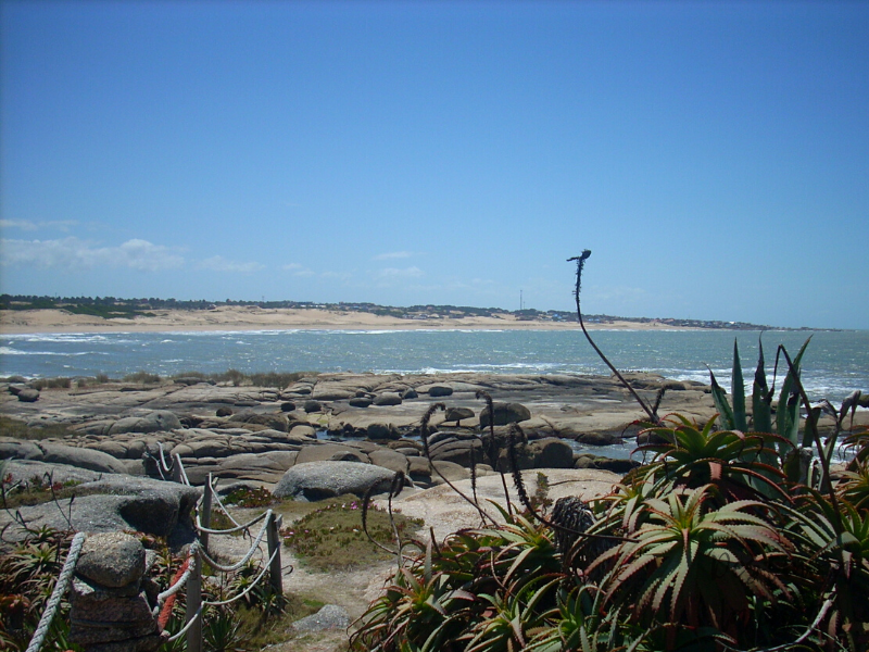 vistas playa de la viuda punta del diablo