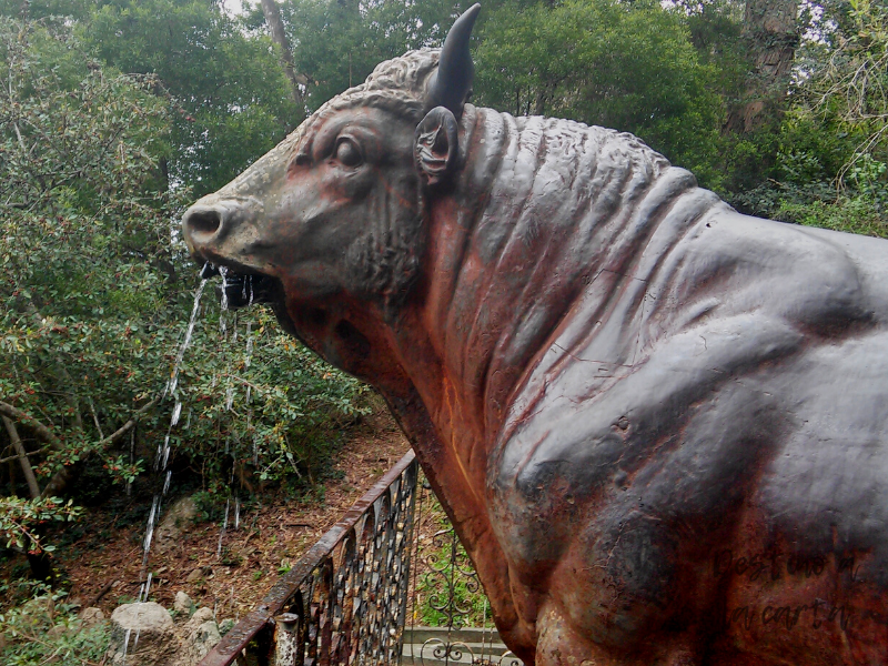 fuente del toro en cerro del toro piriapolis