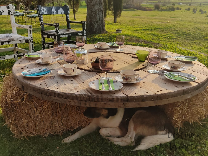 Mesa de Té Casa Fripp Nueva Helvecia